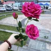 3 head diamond rose deep rose red
