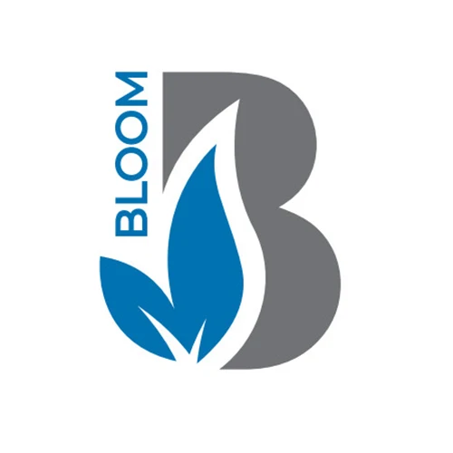 Company Overview - Ningbo Bloom Intelligent Technology Co., Ltd.