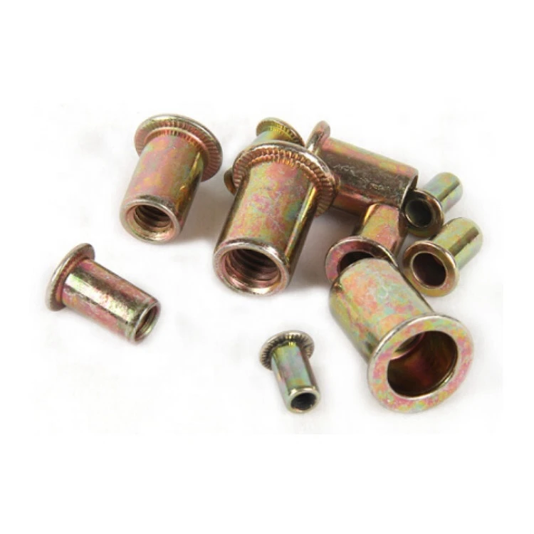 China Factory Oem Odm Fastener Customized Flat Head Hexagon Round Hex Through hole Brass Stainless Steel Blind Rivet Nut