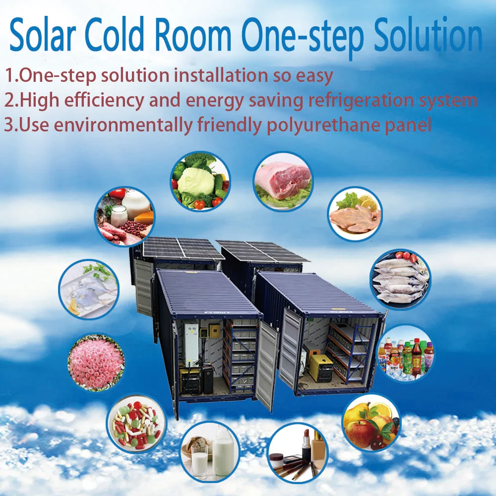 Cold Storage Rooftop Solar 20ft Solar Powered 10 Tons Container Cold Room System