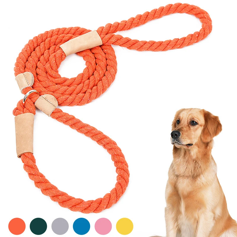 cheap leash