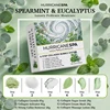 Menthe verte et eucalyptus