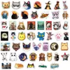 kitty 50 PCS