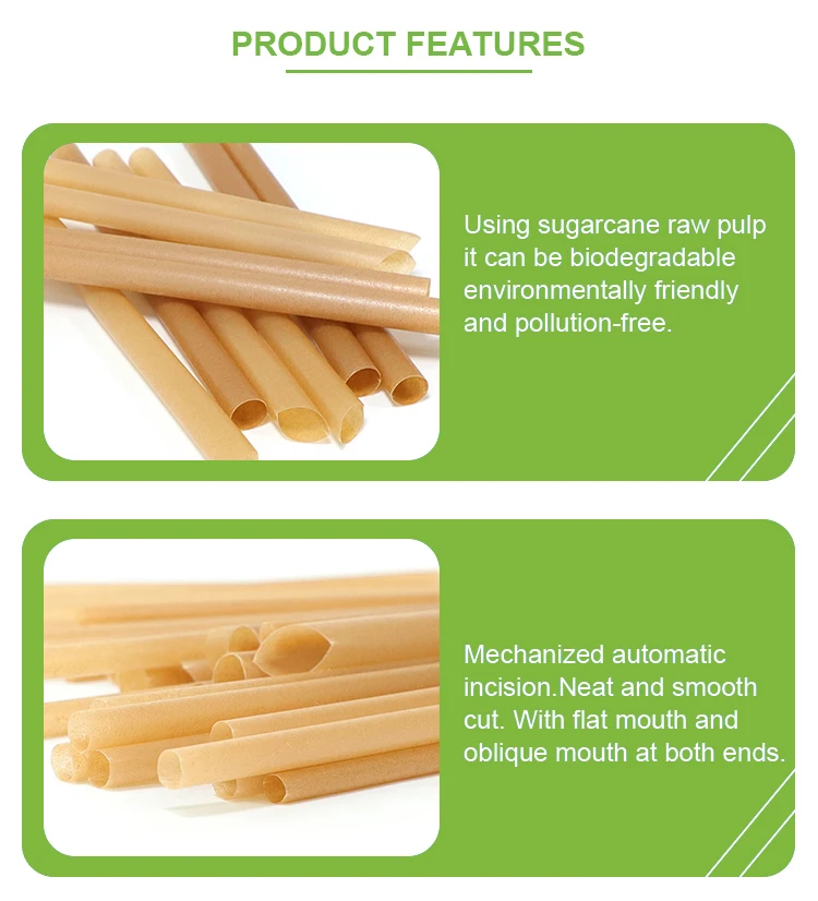 Eco Friendly Biodegradable Compostable Sugarcane Bagasse Disposable