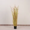 Green 150cm Autumn Color Foxtail Grass