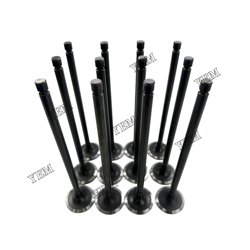 D6CB Intake Valve for Hyundai Engine Parts Stock Complete