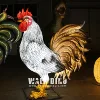 ไก่ตัวผู้สีขาว