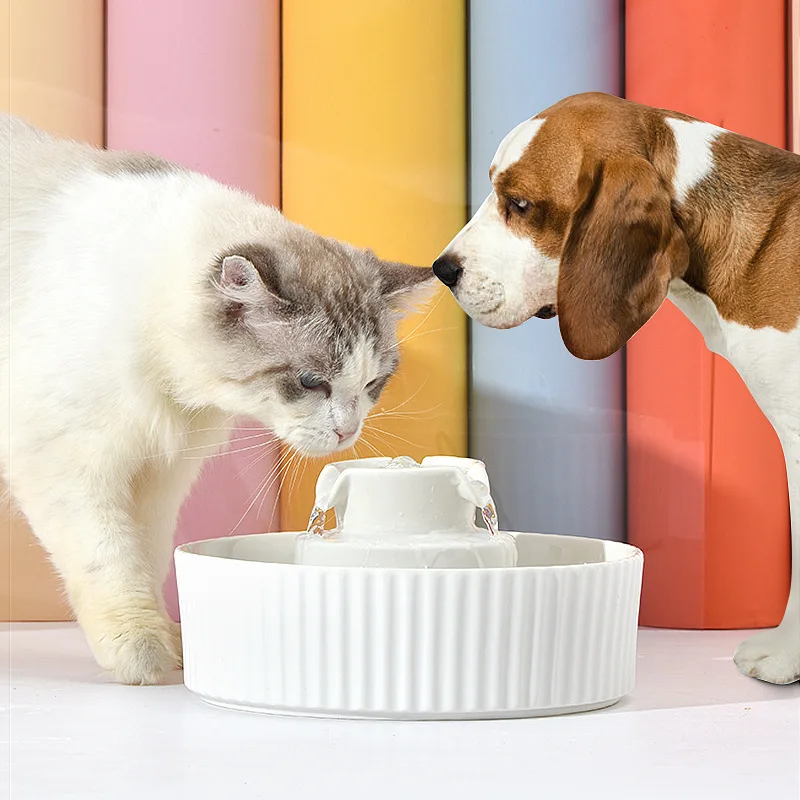 Eco-Friendly Pet Feeder