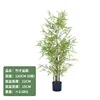 Yellow bamboo bonsai 120CM