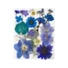 53# Dried Flower 25PCS