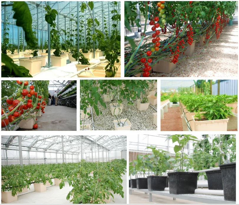 Hydroponic Dutch Bato Bucket System With Lids Buy Dutch Bato Bucket