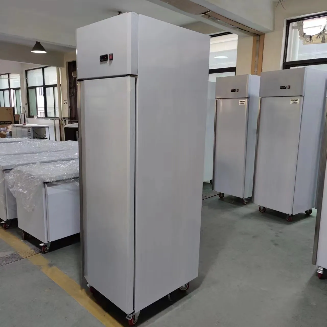 Freezer Refrigerator Refrigeration Equipment Upright Commercial Fridge