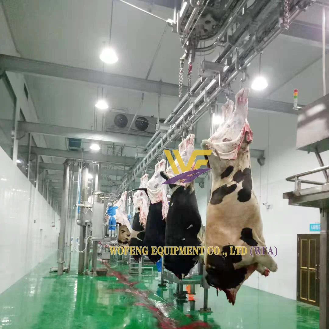 Slaughter Design Cattle Abattoir Machinery Complete Procedure Slaughter Line Cow Halal ...