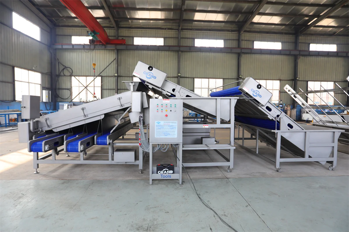 Shrimp Classifier Prawn Grading Machine Automatic Shrimp Sorting Machine