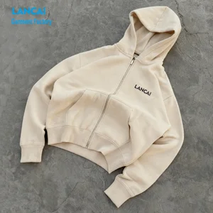 Custom Embroidery Logo OEM Oversized Streetwear Thick Brush Fleece Blank Solid Color Hoodies Zip up Hoodie