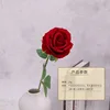 Modelo rojo b