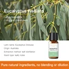 Olio Essenziale di Eucalipto 30ml