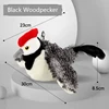 Black Woodpecker