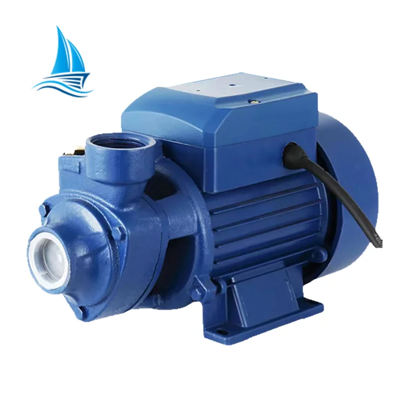 Qb60 Series High 0.37kw 0.5hp Vortex Booster Pump Ac220V Clear Water Pump Motor OEM Customizable for Liquid