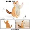 Gatto British Shorthair colorato PL127-3362