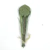 Timothy   Green