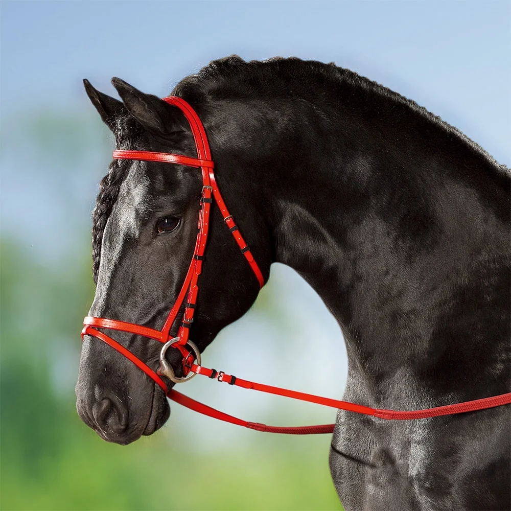 красная уздечка. красная уздечка. разноцветный недоуздок. узда недоуздок чепрачная. скаковое оголовье для лошадей.