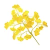 Ginkgo biloba jaune