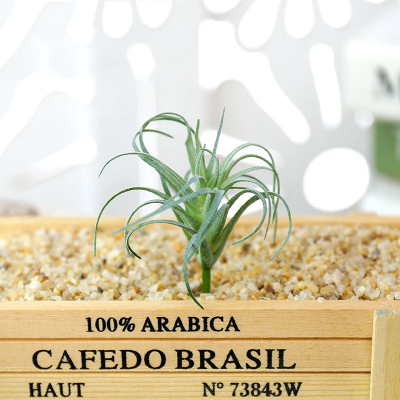 Bulk Succulent Artificial Succulent Plants Unpotted| Alibaba.com