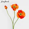 Arancione-10.OR0036