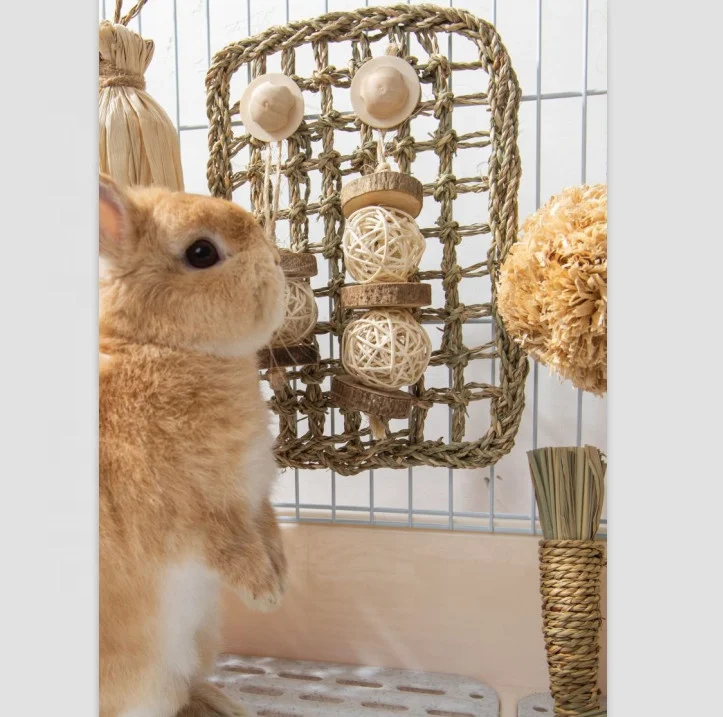 Rabbit Activity Mat Bunny Chew Toy Small Animal Activity Play Ball Carrot Toy Seagrass Mat for Hamster Guinea Pigs
