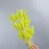 Fruit vert
