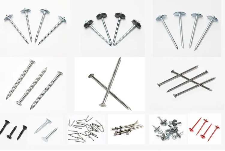 Reliable Nails Manufacturer 2.5 Bwg9 Galvanized Umbrella Head Roofing Nail Clavo De Calamina