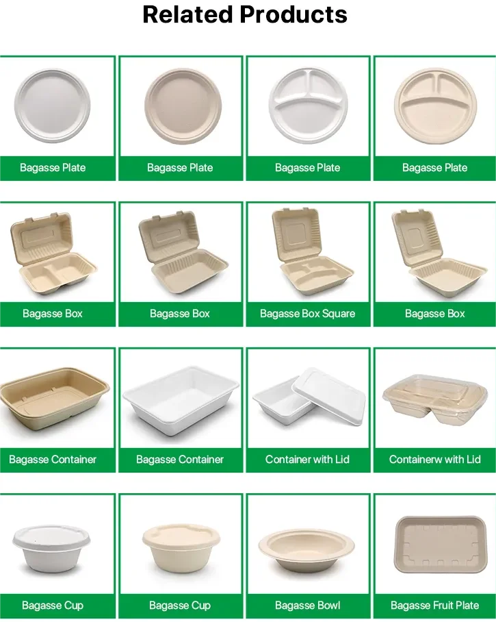 Disposable Tray Eco Friendly Microwavable Dish For Restaurant