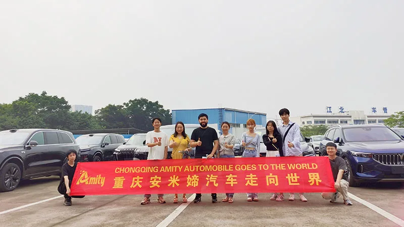 Chongqing Amity Technology Co.. Ltd. 3