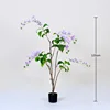 Purple weeping jasmine bonsai, 120cm