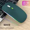 รุ่นชาร์จไฟได้แบบสองโหมดพร้อมไฟส่องสว่าง - สีเทาเขียวภูเขา