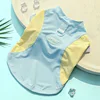 Seda de hielo amarillo-azul