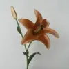 Arancione chiaro