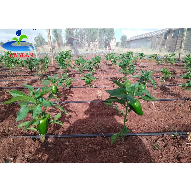 Agricultural Drip Tape Drip Line Irrigation System Private Label Drip Tape 0.125 Laberinto Water Hose