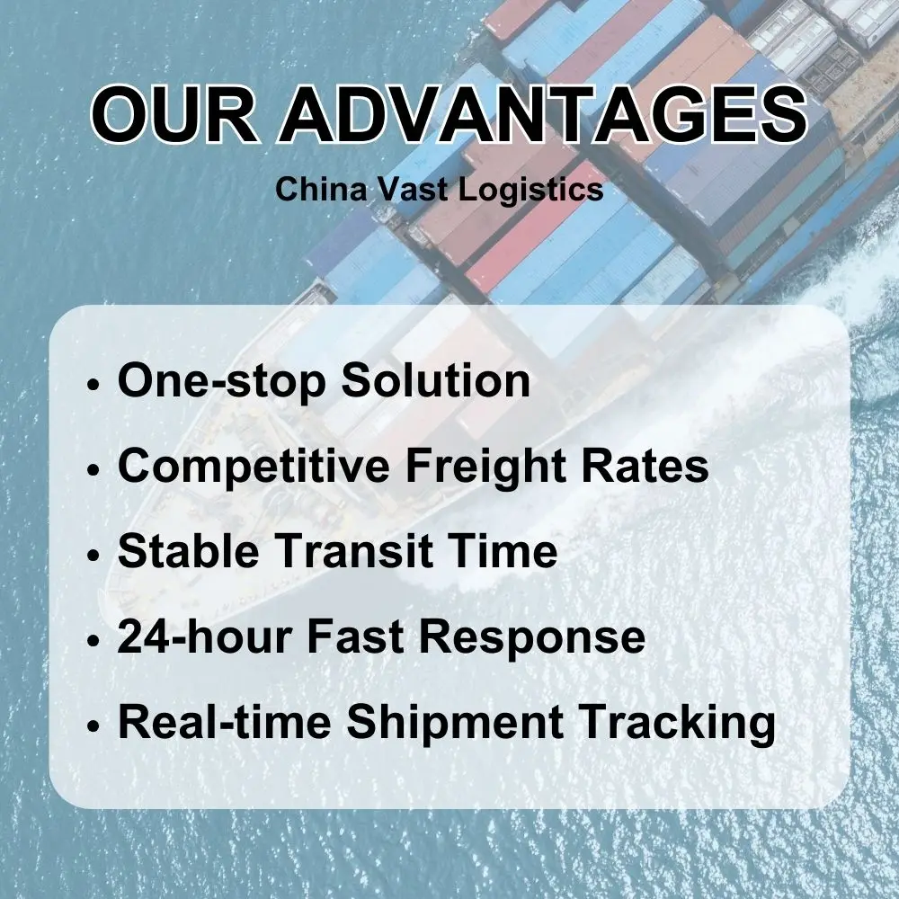 Sea Shipping Services Freight Forwarders Cheaper Prices China to Algeria/Ethiopia  Cargo Logistics Shipping Agents