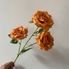 สีส้ม