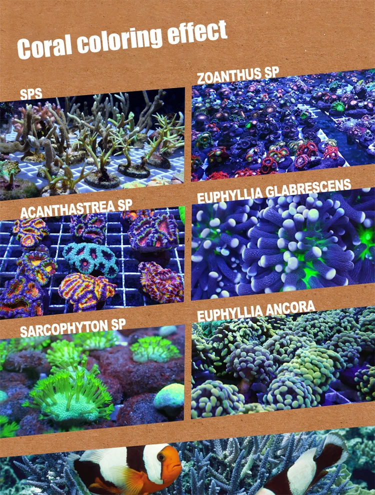 Profesional Led Coral Growth Aquarium Light Adjustable Light Downlight