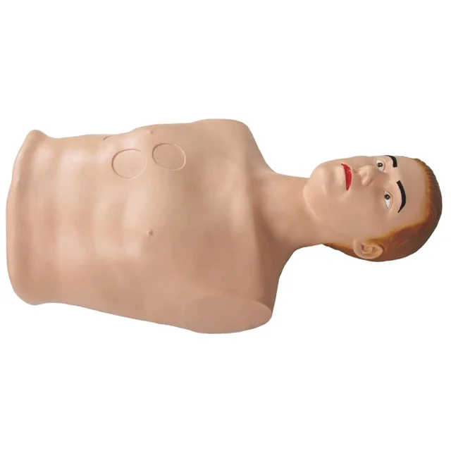 DARHMMY Durable PVC Medical Science Training Model Pericardiocentesis and Intracardiac Injection Manikin Natural Size School Use