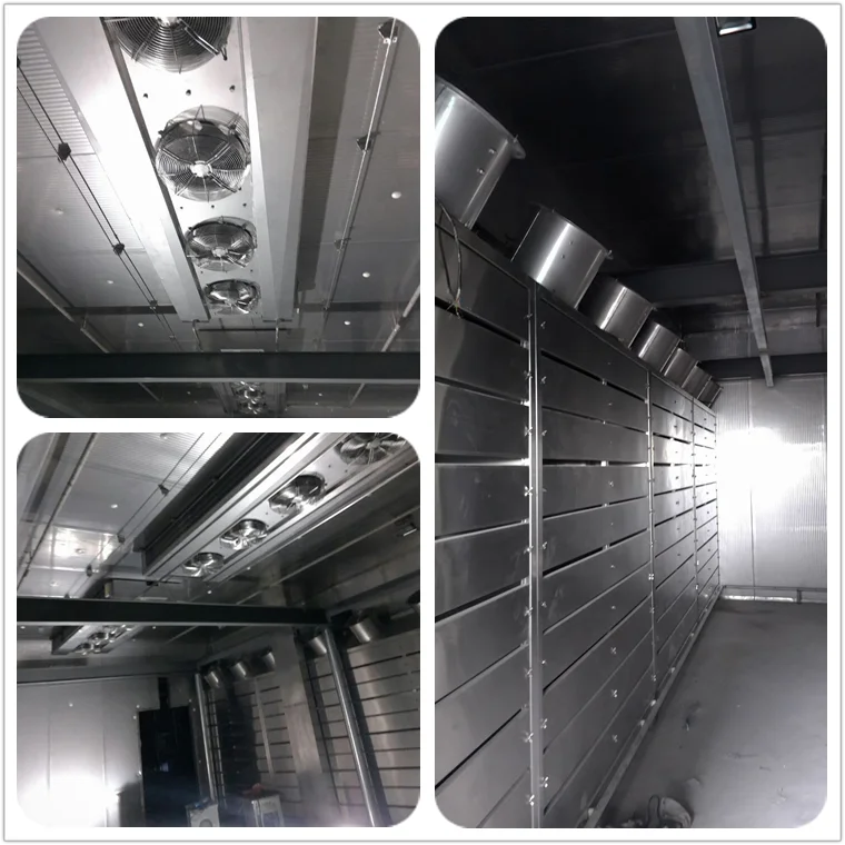 Meat defrost machine for thawing carcasses Debone Abattoir