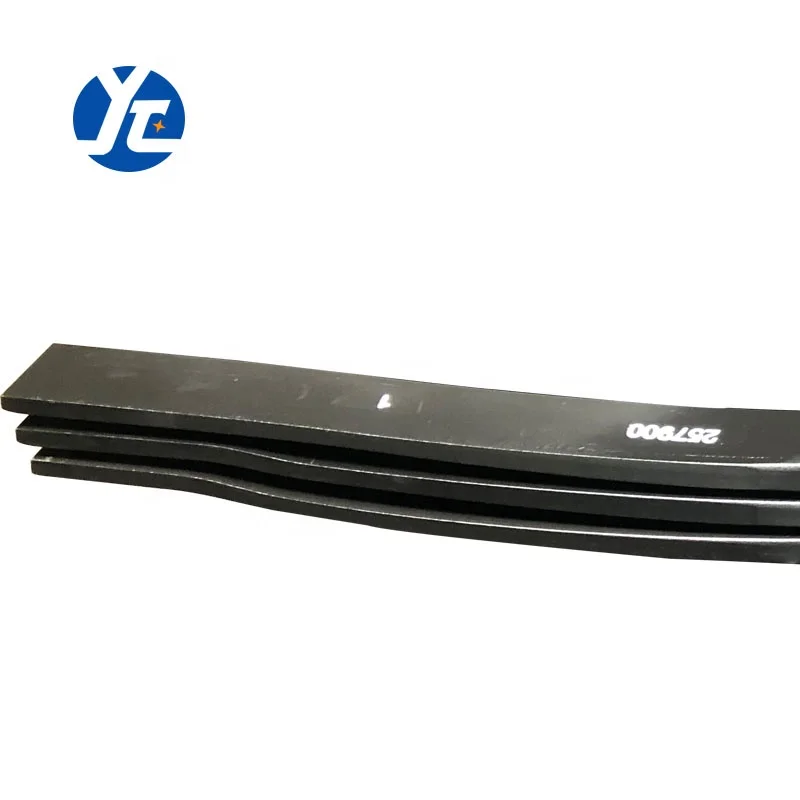 Rear Suspension Spring Assembly