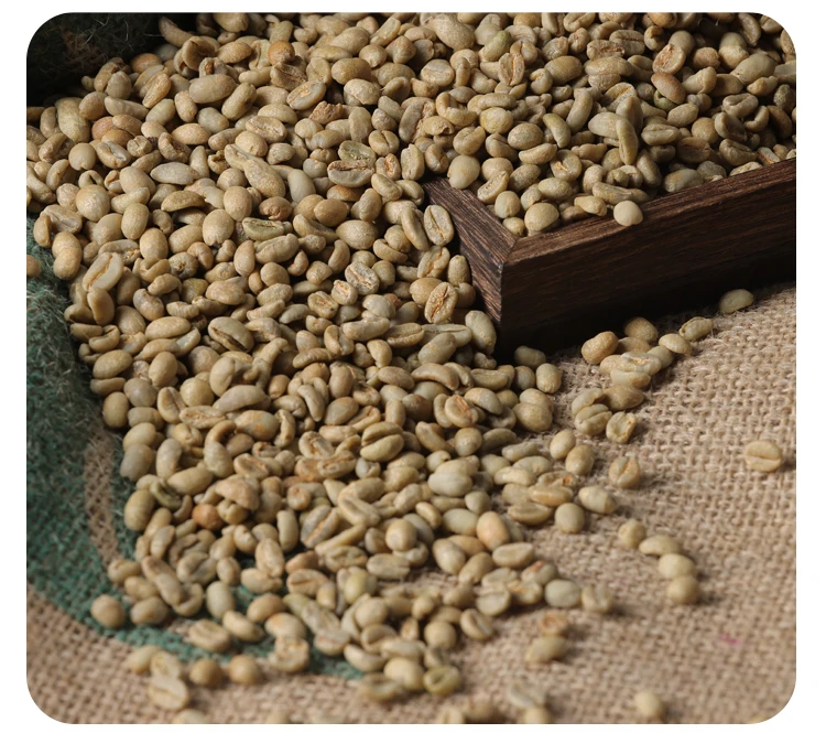 Wholesale 100 Pure Organic Coffee G1q1 Arabica Green Coffee Beans