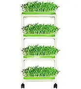 A-ONE Double Layer PP Plastic Not Coated Eco-friendly Nursery Trays Lids Rectangle Sprouting Tray for Pea Mung Bean Wheat Cat supplier