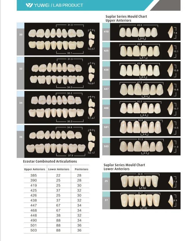 Dental Supplies Composite Acrylic Denture Synthetic Resin False Teeth