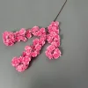 rosa 3