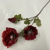 Oil painting poppy